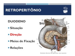 RETROPERITÔNIO
DUODENO
 Situação
 Direção
 Meios de Fixação
 Relações
 