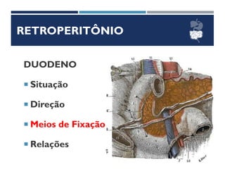 RETROPERITÔNIO
DUODENO
 Situação
 Direção
 Meios de Fixação
 Relações
 