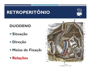 RETROPERITÔNIO
DUODENO
 Situação
 Direção
 Meios de Fixação
 Relações
 