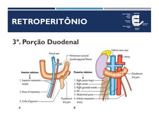 RETROPERITÔNIO
3ª. Porção Duodenal
 