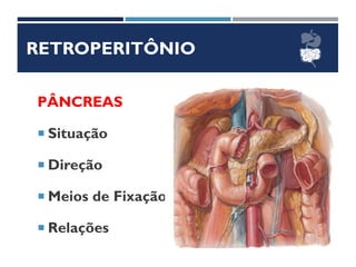 RETROPERITÔNIO
PÂNCREAS
 Situação
 Direção
 Meios de Fixação
 Relações
 