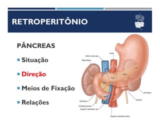 RETROPERITÔNIO
PÂNCREAS
 Situação
 Direção
 Meios de Fixação
 Relações
 