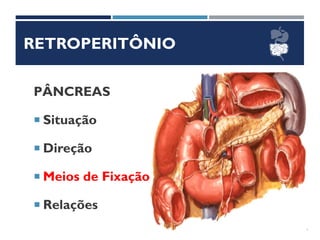 RETROPERITÔNIO
PÂNCREAS
 Situação
 Direção
 Meios de Fixação
 Relações
 