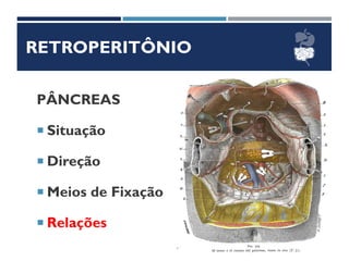 RETROPERITÔNIO
PÂNCREAS
 Situação
 Direção
 Meios de Fixação
 Relações
 