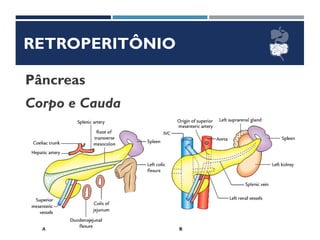RETROPERITÔNIO
Pâncreas
Corpo e Cauda
 
