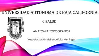 UNIVERSIDAD AUTONOMA DE BAJA CALIFORNIA
CISALUD
ANATOMIA TOPOGRAFICA
Vascularización del encéfalo, Meninges

 