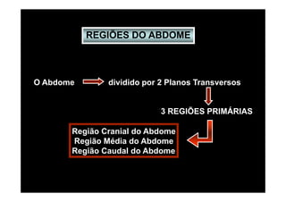 REGIÕES DO ABDOME



O Abdome       dividido por 2 Planos Transversos


                            3 REGIÕES PRIMÁRIAS

       Região Cranial do Abdome
       Região Média do Abdome
       Região Caudal do Abdome
 