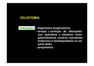 CELIOTOMIA


Indicações: - diagnóstico (exploratória)
             - terapia ( correção de alterações
               nos aparelhos e sistemas como
               gastrintestinal, urinário, reprodutor,
               endócrino e hematopoiético ou em
               parte deles
             - prognóstico
 