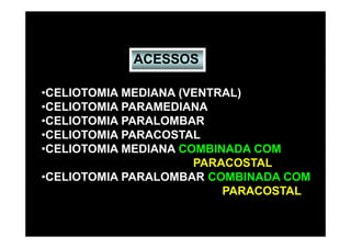 ACESSOS

•CELIOTOMIA MEDIANA (VENTRAL)
•CELIOTOMIA PARAMEDIANA
•CELIOTOMIA PARALOMBAR
•CELIOTOMIA PARACOSTAL
•CELIOTOMIA MEDIANA COMBINADA COM
                      PARACOSTAL
•CELIOTOMIA PARALOMBAR COMBINADA COM
                          PARACOSTAL
 