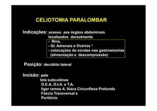 CELIOTOMIA PARALOMBAR

Indicações: acesso aos órgãos abdominais
                localizados dorsalmente
                - Rins,
                - Gl. Adrenais e Ovários *
                - colocações de sondas nas gastrostomias
                  (alimentação e descompressão)

Posição: decúbito lateral

Incisão: pele
        tela subcutânea
         O.E.A, O.I.A. e T.A.
         ligar ramos A. Ilíaca Circunflexa Profunda
         Fáscia Transversal e
         Peritônio
 