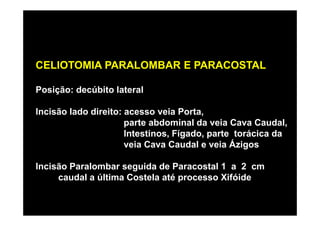 CELIOTOMIA PARALOMBAR E PARACOSTAL

Posição: decúbito lateral

Incisão lado direito: acesso veia Porta,
                      parte abdominal da veia Cava Caudal,
                      Intestinos, Fígado, parte torácica da
                      veia Cava Caudal e veia Ázigos

Incisão Paralombar seguida de Paracostal 1 a 2 cm
     caudal a última Costela até processo Xifóide
 