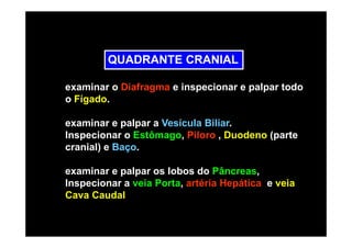 QUADRANTE CRANIAL

examinar o Diafragma e inspecionar e palpar todo
o Fígado.

examinar e palpar a Vesícula Biliar.
Inspecionar o Estômago, Piloro , Duodeno (parte
cranial) e Baço.

examinar e palpar os lobos do Pâncreas,
Inspecionar a veia Porta, artéria Hepática e veia
Cava Caudal
 