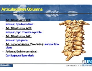 Articulaciones Columna

• Art. Atlanto-occipital:
  sinovial, tipo bicondilea
• Art. Atlanto axial ANT:
  sinovial , tipo trocoide o pivote.
• Art. Atlanto axial LAT :
  sinovial tipo plana.
• Art. zigoapofisiarias (facetarias): sinovial tipo
  plana
• Articulación Intervertebral:
  Cartilaginosa Secundaria
 