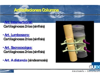 Articulaciones Columna

• Art. Intervertebral:
 Cartilaginosas 2rias (sínfisis)

• Art. Lumbosacra:
 Cartilaginosas 2rias (sínfisis)

• Art. Sacrococcigea:
 Cartilaginosas 2rias (sínfisis)

• Art. A distancia (sindesmosis)
 