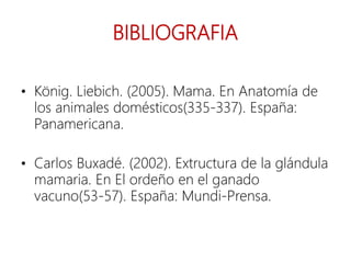 BIBLIOGRAFIA
• König. Liebich. (2005). Mama. En Anatomía de
los animales domésticos(335-337). España:
Panamericana.
• Carlos Buxadé. (2002). Extructura de la glándula
mamaria. En El ordeño en el ganado
vacuno(53-57). España: Mundi-Prensa.
 
