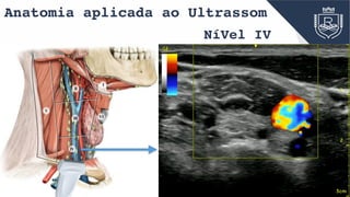 Anatomia aplicada ao Ultrassom
IV
V
III VI
I
II
the head region drain into lymph nodes in the
neck located close to the head.
NíVel IV
 