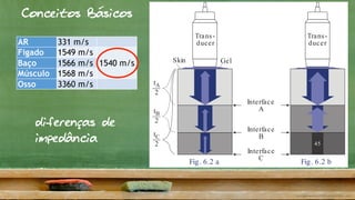 Conceitos Básicos
AR 331 m/s
Figado 1549 m/s
1540 m/sBaço 1566 m/s
Músculo 1568 m/s
Osso 3360 m/s
Trans-
ducer
Skin Gel
Trans-
ducer
Interface
A
Interface
B
Interface
C
45
t
2
A
t
2
B
t
2
C
face between two tissue layers with differ-
ission properties (interfaces in Fig. 6.2). It is
e that different soft tissues show only minor
transmission of sound (Table 6.1). Only air
ked by massively different sound transmis-
n with other human tissue.
rasound units can be operated at a prese-
equency of approximately 1540 m/s with-
y major inaccuracies in the calculated origin
cho. The processor computes the depth of
from the time difference detected between
und impulse and return of the echo. Echoes
o the transducer (A) arrive earlier (tA) than
per tissues (tB, tC in Fig. 6.2a). The mean
tly theoretical since the processor cannot
of tissue was traversed.
nt of the Sound Wave is Reflected?
ree tissue blocks traversed by sound waves
inimally in their transmission velocity (in-
Table 6.1
Fig. 6.2 a Fig. 6.2 b
sound waves deep to this structure from which it can gener-
ate an image. Instead, the total reflection creates an acoustic
diferenças de
impedância
 