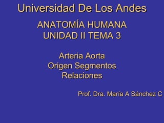 Universidad De Los Andes
ANATOMÍA HUMANA
UNIDAD II TEMA 3
Arteria Aorta
Origen Segmentos
Relaciones
Prof. Dra. María A Sánchez C

 