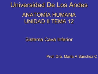Universidad De Los Andes ANATOMÍA HUMANA UNIDAD II TEMA 12 Sistema Cava Inferior Prof. Dra. María A Sánchez C 