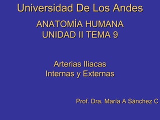 Universidad De Los Andes ANATOMÍA HUMANA UNIDAD II TEMA 9 Arterias Iliacas Internas y Externas Prof. Dra. María A Sánchez C 