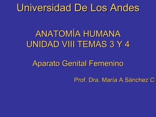 Universidad De Los Andes ANATOMÍA HUMANA UNIDAD VIII TEMAS 3 Y 4 Aparato Genital Femenino Prof. Dra. María A Sánchez C 