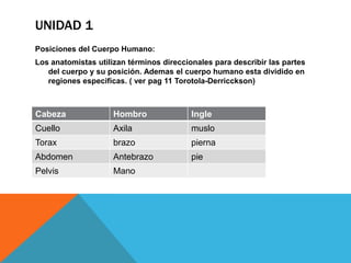 UNIDAD 1
Posiciones del Cuerpo Humano:
Los anatomistas utilizan términos direccionales para describir las partes
   del cuerpo y su posición. Ademas el cuerpo humano esta dividido en
   regiones especificas. ( ver pag 11 Torotola-Derricckson)



Cabeza               Hombro               Ingle
Cuello               Axila                muslo
Torax                brazo                pierna
Abdomen              Antebrazo            pie
Pelvis               Mano
 