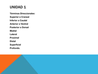 UNIDAD 1
Términos Direccionales:
Superior o Craneal
Inferior o Caudal
Anterior o Ventral
Posterior o Dorsal
Medial
Lateral
Proximal
Distal
Superficial
Profundo.
 