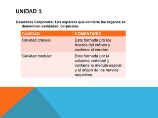 UNIDAD 1
Cavidades Corporales: Los espacios que contiene los órganos se
   denominan cavidades corporales.

   CAVIDAD                       COMENTARIO
   Cavidad craneal               Esta formada pro los
                                 huesos del cráneo y
                                 contiene el cerebro
   Cavidad medular               Esta formada por la
                                 columna vertebral y
                                 contiene la medula espinal
                                 y el origen de los nervios
                                 raquideos
 