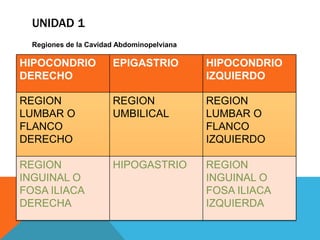 UNIDAD 1
  Regiones de la Cavidad Abdominopelviana

HIPOCONDRIO            EPIGASTRIO           HIPOCONDRIO
DERECHO                                     IZQUIERDO

REGION                 REGION               REGION
LUMBAR O               UMBILICAL            LUMBAR O
FLANCO                                      FLANCO
DERECHO                                     IZQUIERDO

REGION                 HIPOGASTRIO          REGION
INGUINAL O                                  INGUINAL O
FOSA ILIACA                                 FOSA ILIACA
DERECHA                                     IZQUIERDA
 