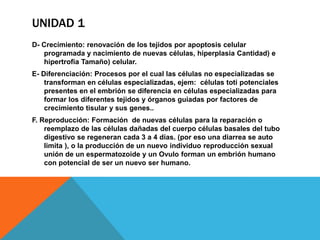 UNIDAD 1
D- Crecimiento: renovación de los tejidos por apoptosis celular
   programada y nacimiento de nuevas células, hiperplasia Cantidad) e
   hipertrofia Tamaño) celular.
E- Diferenciación: Procesos por el cual las células no especializadas se
    transforman en células especializadas, ejem: células toti potenciales
    presentes en el embrión se diferencia en células especializadas para
    formar los diferentes tejidos y órganos guiadas por factores de
    crecimiento tisular y sus genes..
F. Reproducción: Formación de nuevas células para la reparación o
    reemplazo de las células dañadas del cuerpo células basales del tubo
    digestivo se regeneran cada 3 a 4 días. (por eso una diarrea se auto
    limita ), o la producción de un nuevo individuo reproducción sexual
    unión de un espermatozoide y un Ovulo forman un embrión humano
    con potencial de ser un nuevo ser humano.
 