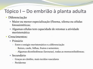 Tópico I – Do embrião à planta adulta
 Diferenciação
 Maior ou menor especialização (floema, xilema ou células
fotossintéticas;
 Algumas células tem capacidade de retomar a atividade
meristemática
 Crescimentos:
 Primário


Entre o estágio meristemático e a diferenciação
 Raízes, caule, folhas, frutos e sementes;
 Algumas dicotiledôneas (lavouras), todas as monocotiledôneas;

 Secundário
 Graças ao câmbio, mais tecidos vasculares
 Periderme

 