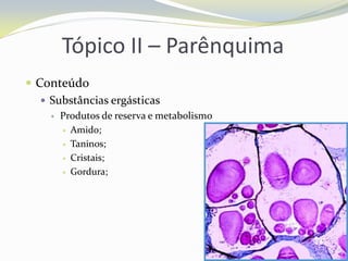 Tópico II – Parênquima
 Conteúdo
 Substâncias ergásticas


Produtos de reserva e metabolismo
 Amido;
 Taninos;
 Cristais;
 Gordura;

 