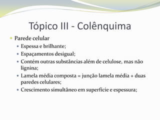 Tópico III - Colênquima
 Parede celular
 Espessa e brilhante;
 Espaçamentos desigual;
 Contém outras substâncias além de celulose, mas não
lignina;
 Lamela média composta = junção lamela média + duas
paredes celulares;
 Crescimento simultâneo em superfície e espessura;

 