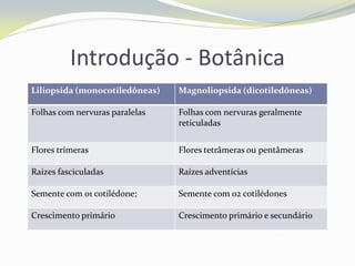 Introdução - Botânica
Liliopsida (monocotiledôneas)

Magnoliopsida (dicotiledôneas)

Folhas com nervuras paralelas

Folhas com nervuras geralmente
reticuladas

Flores trímeras

Flores tetrâmeras ou pentâmeras

Raízes fasciculadas

Raízes adventícias

Semente com 01 cotilédone;

Semente com 02 cotilédones

Crescimento primário

Crescimento primário e secundário

 