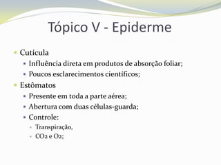 Tópico V - Epiderme
 Cutícula
 Influência direta em produtos de absorção foliar;
 Poucos esclarecimentos científicos;
 Estômatos
 Presente em toda a parte aérea;
 Abertura com duas células-guarda;
 Controle:



Transpiração,
CO2 e O2;

 