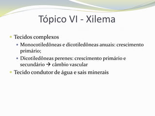 Tópico VI - Xilema
 Tecidos complexos
 Monocotiledôneas e dicotiledôneas anuais: crescimento
primário;
 Dicotiledôneas perenes: crescimento primário e
secundário  câmbio vascular
 Tecido condutor de água e sais minerais

 