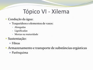 Tópico VI - Xilema
 Condução da água:
 Traqueídeos e elementos de vasos:




Alongadas
Lignificadas
Mortas na maturidade

 Sustentação:
 Fibras
 Armazenamento e transporte de substâncias ergásticas
 Parênquima

 
