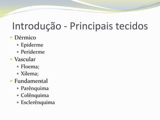 Introdução - Principais tecidos
 Dérmico
 Epiderme
 Periderme
 Vascular
 Floema;
 Xilema;
 Fundamental
 Parênquima
 Colênquima
 Esclerênquima

 