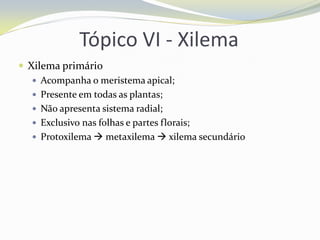 Tópico VI - Xilema
 Xilema primário
 Acompanha o meristema apical;
 Presente em todas as plantas;
 Não apresenta sistema radial;
 Exclusivo nas folhas e partes florais;
 Protoxilema  metaxilema  xilema secundário

 