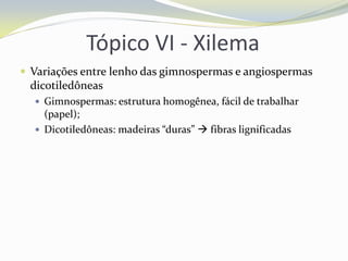 Tópico VI - Xilema
 Variações entre lenho das gimnospermas e angiospermas

dicotiledôneas
 Gimnospermas: estrutura homogênea, fácil de trabalhar

(papel);
 Dicotiledôneas: madeiras “duras”  fibras lignificadas

 