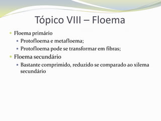 Tópico VIII – Floema
 Floema primário
 Protofloema e metafloema;
 Protofloema pode se transformar em fibras;

 Floema secundário
 Bastante comprimido, reduzido se comparado ao xilema
secundário

 