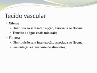 Tecido vascular
 Xilema
 Distribuição sem interrupção, associada ao floema;
 Transito de água e sais minerais;
 Floema
 Distribuição sem interrupção, associada ao floema;
 Sustentação e transporte de alimentos;

 