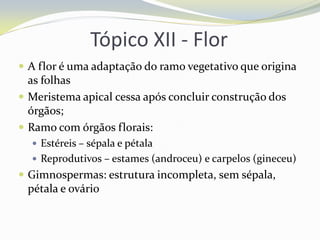 Tópico XII - Flor
 A flor é uma adaptação do ramo vegetativo que origina

as folhas
 Meristema apical cessa após concluir construção dos
órgãos;
 Ramo com órgãos florais:
 Estéreis – sépala e pétala
 Reprodutivos – estames (androceu) e carpelos (gineceu)

 Gimnospermas: estrutura incompleta, sem sépala,

pétala e ovário

 