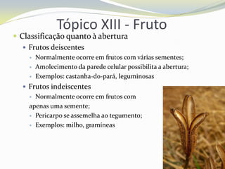 Tópico XIII - Fruto

 Classificação quanto à abertura
 Frutos deiscentes




Normalmente ocorre em frutos com várias sementes;
Amolecimento da parede celular possibilita a abertura;
Exemplos: castanha-do-pará, leguminosas

 Frutos indeiscentes

Normalmente ocorre em frutos com
apenas uma semente;
 Pericarpo se assemelha ao tegumento;
 Exemplos: milho, gramíneas


 