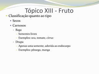 Tópico XIII - Fruto

 Classificação quanto ao tipo
 Secos
 Carnosos




Baga
 Sementes livres
 Exemplos: uva, tomate, citrus
Drupa
 Apenas uma semente, aderida ao endocarpo
 Exemplos: pêssego, manga

 
