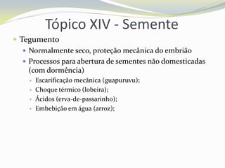 Tópico XIV - Semente
 Tegumento
 Normalmente seco, proteção mecânica do embrião
 Processos para abertura de sementes não domesticadas
(com dormência)





Escarificação mecânica (guapuruvu);
Choque térmico (lobeira);
Ácidos (erva-de-passarinho);
Embebição em água (arroz);

 