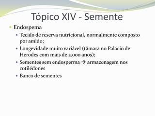Tópico XIV - Semente
 Endospema
 Tecido de reserva nutricional, normalmente composto
por amido;
 Longevidade muito variável (tâmara no Palácio de
Herodes com mais de 2.000 anos);
 Sementes sem endosperma  armazenagem nos
cotilédones
 Banco de sementes

 