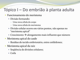 Tópico I – Do embrião à planta adulta
 Funcionamento do meristema
 Divisão formando:



Uma nova célula do corpo
Uma nova célula do meristema

 Divisão celular ocorre em vários pontos, não apenas no

“meristema apical”
 Crescimento  alongamento mais influente que número

 Meristema apical do caule
 Resíduo de tecido embrionário, entre cotilédones;
 Meristema apical da raiz
 Seqüência de divisões celulares;
 Coifa

 