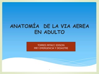 ANATOMÍA DE LA VIA AEREA
EN ADULTO
1
TORRES MITACC EDISON
MR1 EMERGENCIA Y DESASTRE
 