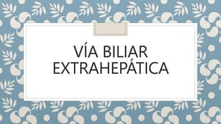VÍA BILIAR
EXTRAHEPÁTICA
 